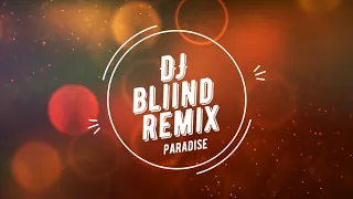 VIZE x JOKER BRA x LEONY - Paradise (DJ BliiND remix)