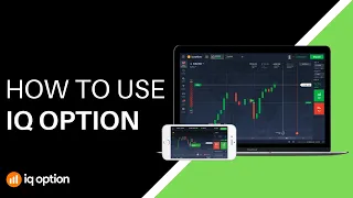 How To Use IQ Option In 2024: Step-by-Step Guide for Beginners