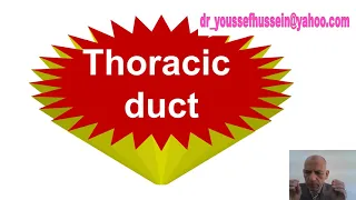 4- Thoracic duct