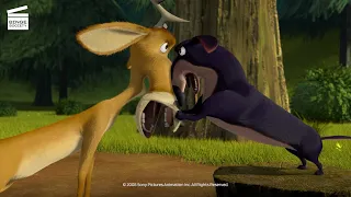 Open Season 2: Rabbit fight (HD CLIP)