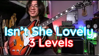 Isn't She Lovely 3 levels