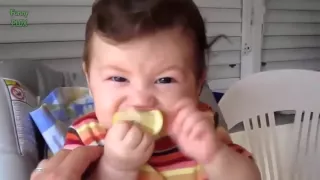 Babies Eating Lemons for the First Time Compilation 2014 HD