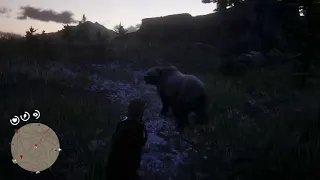 Bears won’t attack if you stand your ground apparently.. - Red Dead Redemption 2