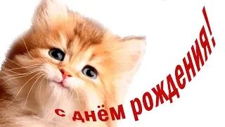 С днем рождения! Милое #поздравление ребенку от котенка Мультяшные поздравления