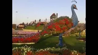 Miracle garden Dubai. Парк цветов в Дубае