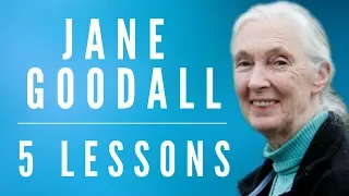 5 LESSONS from JANE GOODALL - FOUNDER OF JANE GOODALL INSTITUTE - UN MESSENGER OF PEACE