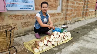 Harvest giant bamboo shoots to bring to the market to sell l Lý Thị Sai