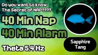 👍40 minutes[with Alarm]🧭The Secret of Nap..!🧭😴 Theta 5.4Hz