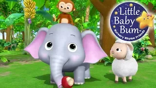 Learn with Little Baby Bum | Animals Feeding Song | Nursery Rhymes for Babies | Songs for Kids