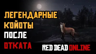 Встреча с легендарным койотом, RDO починили