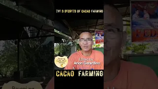 The 3 secrets of Cacao farming. #bayani #cacao #farming
