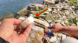 SIMPLE Way To Catch LOADS Of Catfish From The Bank