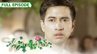 [ENG SUB] Ep 127 | Wildflower | Maja Salvador, Tirso Cruz III, Aiko Melendez