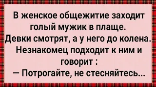 Мужик в Плаще в Женском Общежитии! Сборник Свежих Анекдотов! Юмор!