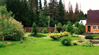 🌺Великолепные примеры ландшафтного дизайна на садовом участке / The best examples of garden design