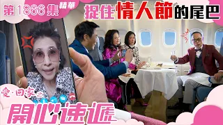 愛回家之開心速遞 ｜第1866集劇集精華｜捉住情人節的尾巴｜羅樂林｜樊亦敏｜蘇恩磁｜情人節｜愛情｜TVB港劇精華