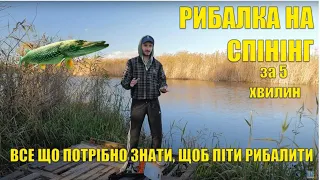 Як почати рибалити на спінінг / Види приманок на хижака / Як зловити першу щуку