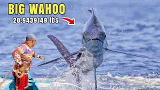 Unbelievable Catch - Big Catch Wahoo 20.944 pounds | Catch&Sell