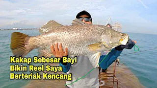 VIRAL..!! Pemancing Paling Beruntung Di Dunia Disambar Monster Barramundi & Kerapu Penghuni Dam Ijo