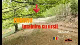 ENDURO intalnire cu ursii