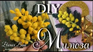 MANUFACTURER MIMOSA Mini | MASTER CLASS | Simple, fast, beautiful!