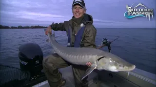 OUTDOOR PASSION ,  EARLY FALL NIGHT STURGEON  2024 !!!