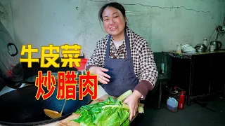 以前喂猪的菜，媳婦加臘腸炒一盤，看著還挺好吃 | The vegetables used to feed the pigs! I'll fry a plate! It's delicious!