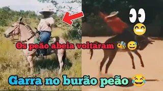 😂Só resenhas/ os abeia voltaram 🐝😅/ tente não rir😁