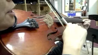 Playing 3-note and 4-note chords on the violin, viola, cello