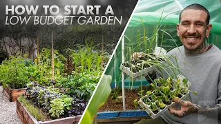 How to Start a Low Budget Garden