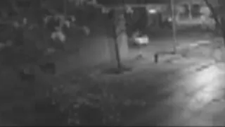 Video captures man being shot during Lincoln Park armed robbery