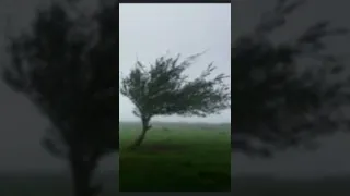 What was the Fastest gust of wind ever recorded ￼