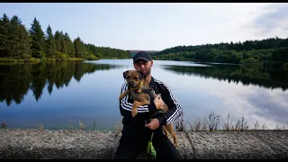 Ned The Border Terrier - 4k Cinematic Sony Alpha a7c