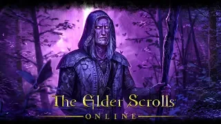 The Elder Scrolls Online - [#9] Каджитские загадки.