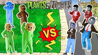 Plants vs zombies - Sunflower vs. iron bucket zombies