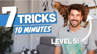 Learn 7 CAT TRICKS in 10 minutes - Easy to Teach Clicker Training