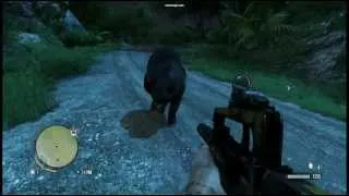 BEAR ATTACK! (Far Cry 3)