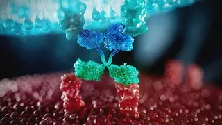 Natural Killer Cell Technology | Scientific Animation