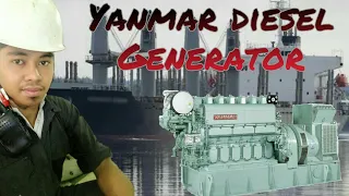 How to start a Yanmar Diesel Generator in easy manual procedure