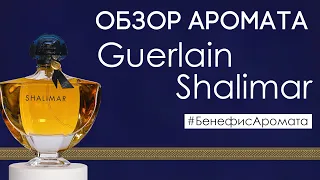 Обзор и отзывы о Guerlain Shalimar (Герлен Шалимар) от Духи.рф | Бенефис аромата