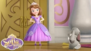 Sofia the First Theme Song | @disneyjunior