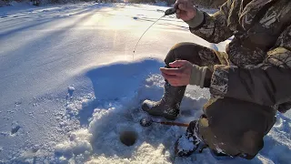 ЗИМНЯЯ РЫБАЛКА НА БЕЗМОТЫЛКУ НА РЕКЕ