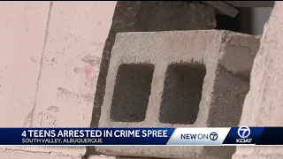 3 teens charged in South Valley crime spree