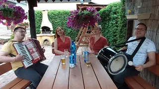 Hudobná skupina DISK - Sadla včielka na jablonku, domáce live video
