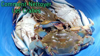 Comment Bien Nettoyer Les Crabes