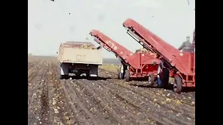 Farming 1950's Pt 3