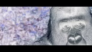 Curse of Bigfoot, Full film movie