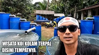 TERSELUBUNG WISATA KOI KOLAM TERPAL