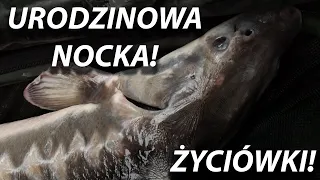 ŻYCIÓWKI! JESIOTRY! KARPIE! URODZINOWA NOCKA NA ŁOWISKU OLEŚNIKOWA DOLINA! GOŚCINNIE: BER GAR!