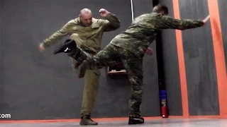 Consecutive techniques. Speed functioning. Plastoon martial art. Leonid Polezhaev.